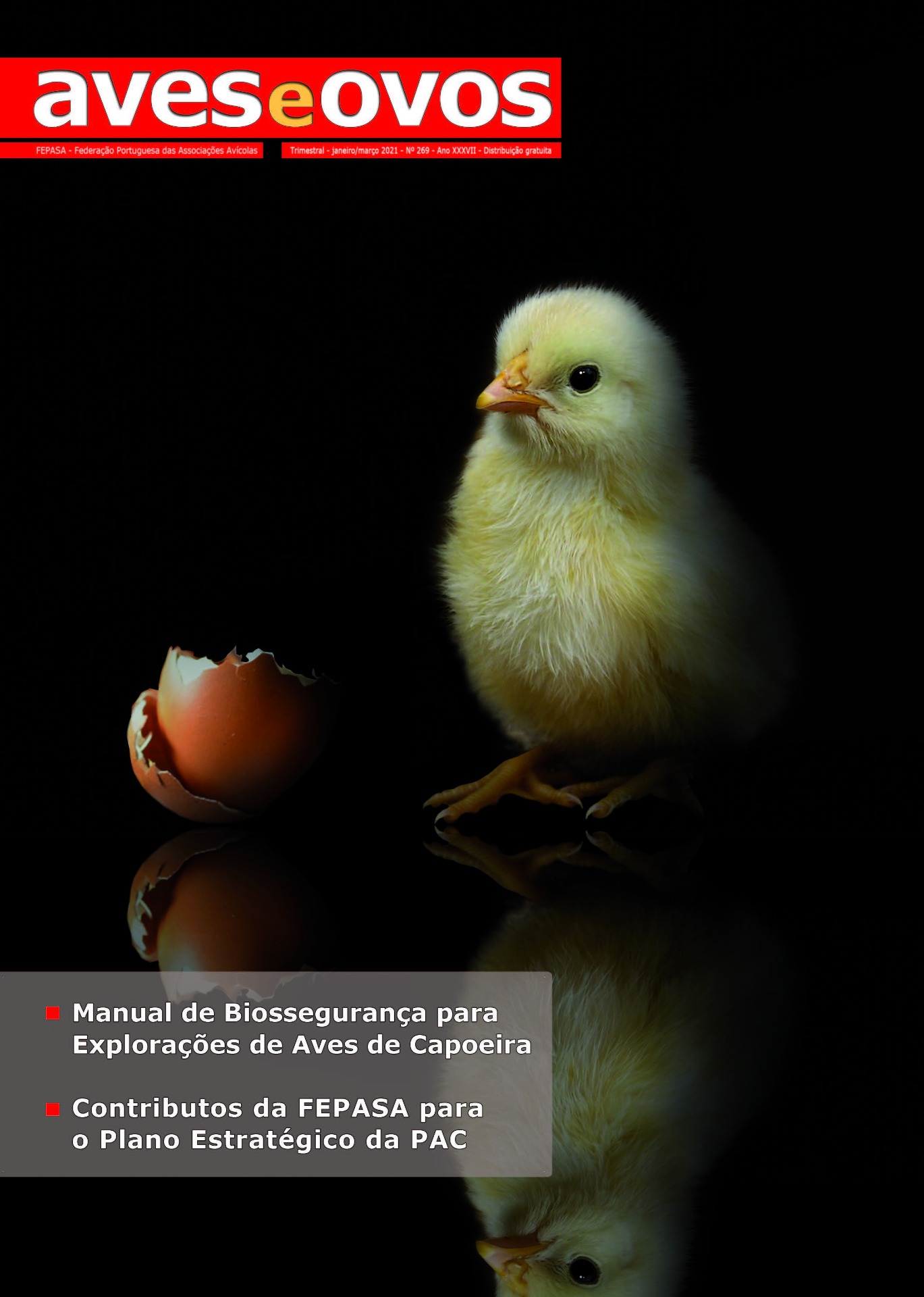 Revistas Aves & Ovos 