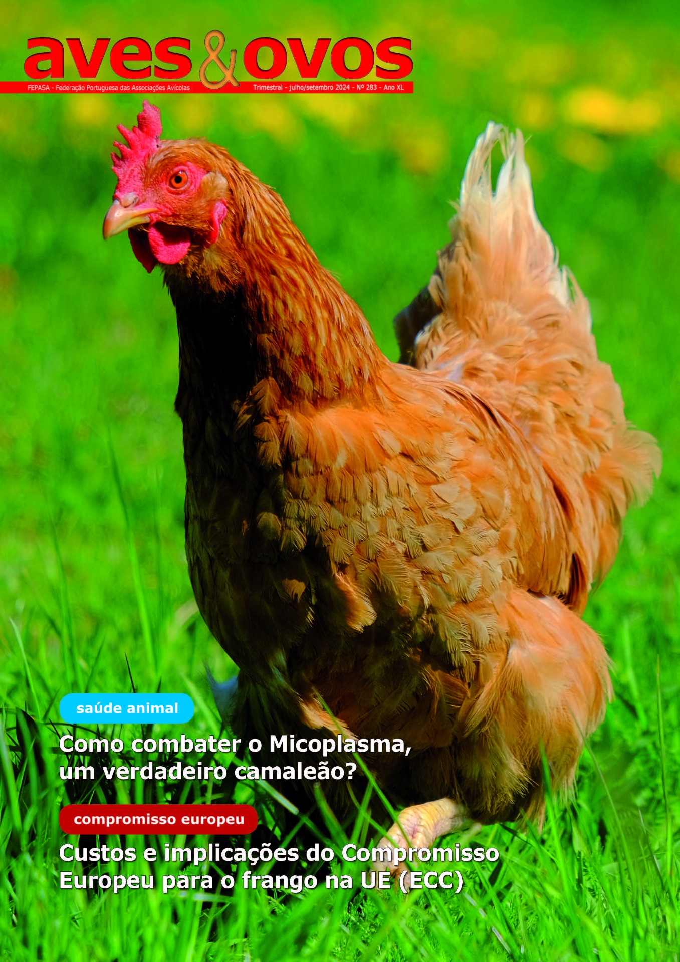 Revista Aves & Ovos 283